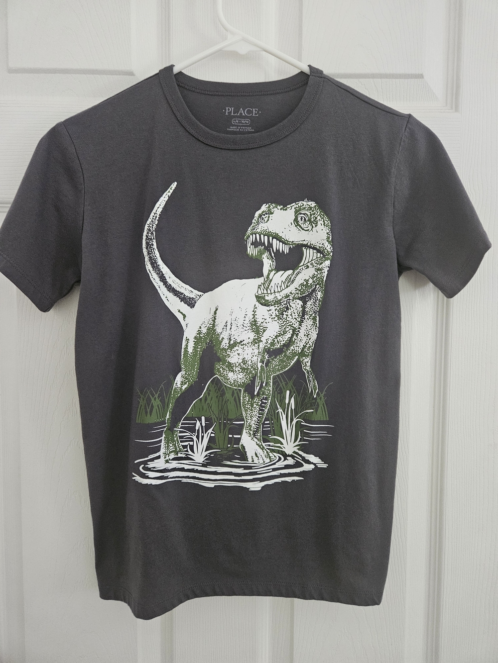 Kids' Dark Gray Dinosaur Graphic T-Shirt - Childrens Place
